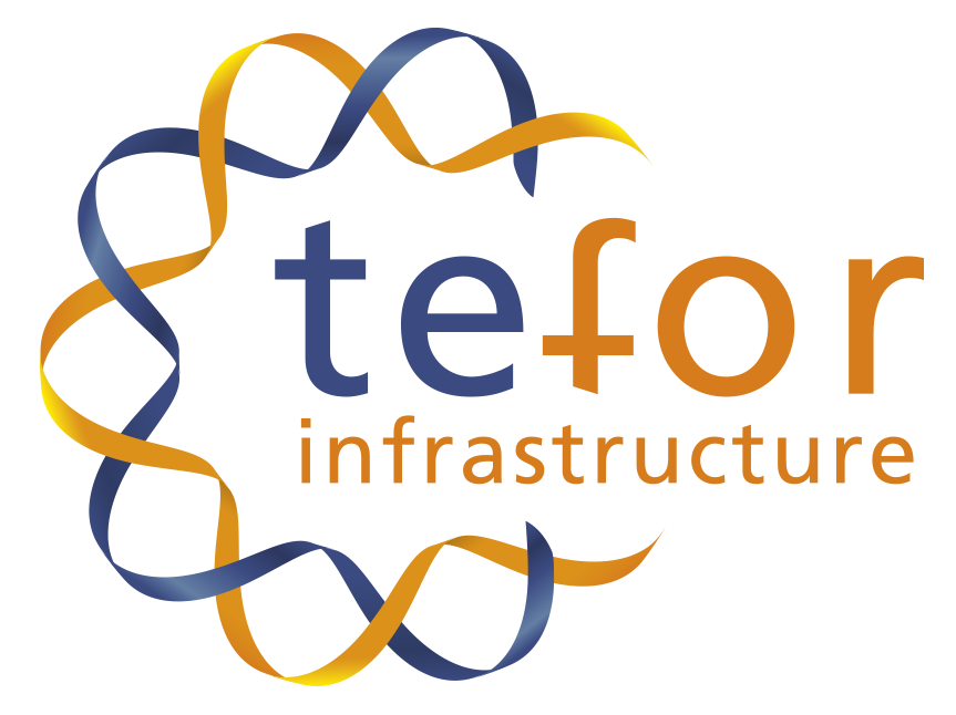 logo tefor infrastructure