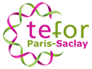 Tefor Paris Saclay Logo